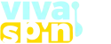Vivaspin casino